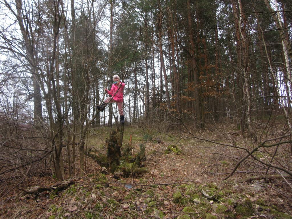 Gospodarstwo Agroturystyczno-Edukacyjne Gratka Celiny  Buitenkant foto