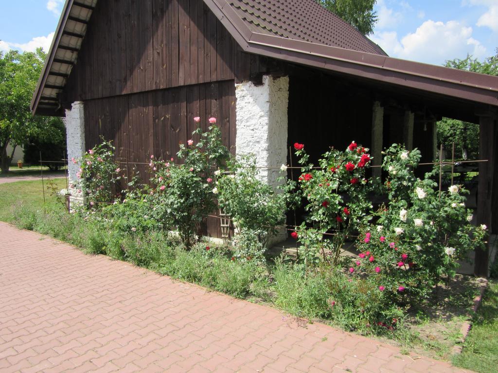Gospodarstwo Agroturystyczno-Edukacyjne Gratka Celiny  Buitenkant foto